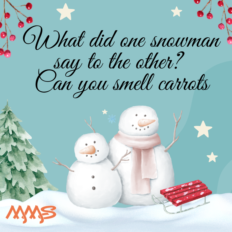 Christmas Cracker Jokes